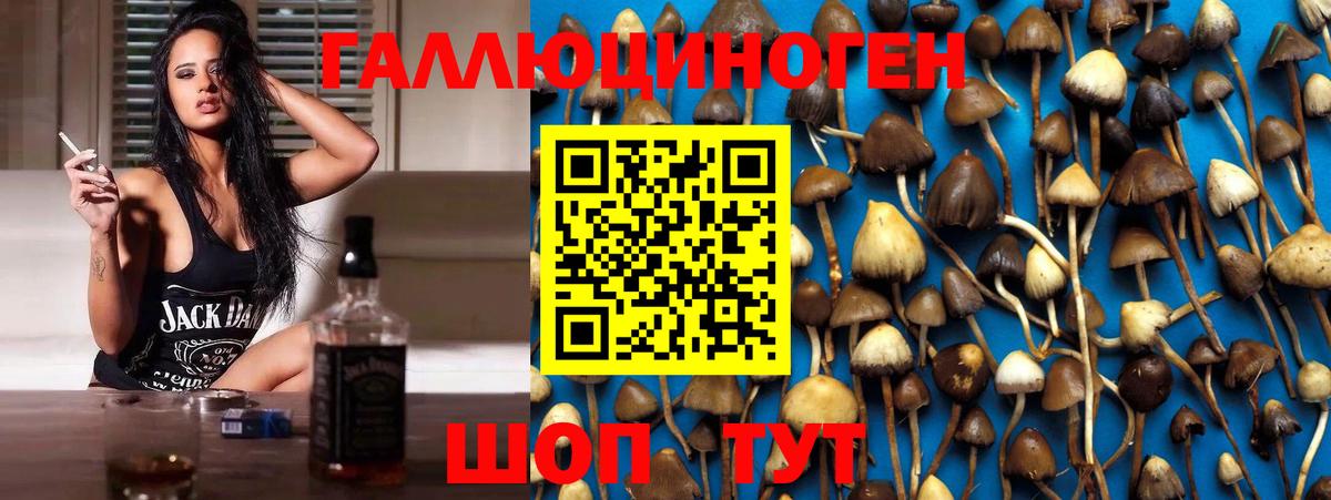 Галлюциногенные грибы Psilocybe  Псилоцибиновые грибы ЛСД  Фрязино  Вход с VPN 